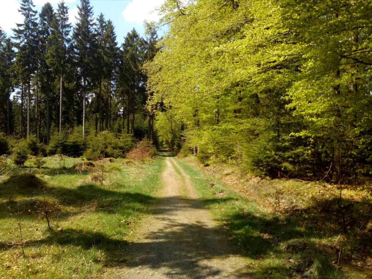 Mia Und Michel Im Sauerland Apartman Bad Berleburg Kültér fotó
